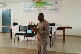 Agroécologie au Cameroun : L’espoir vert face aux défis environnementaux